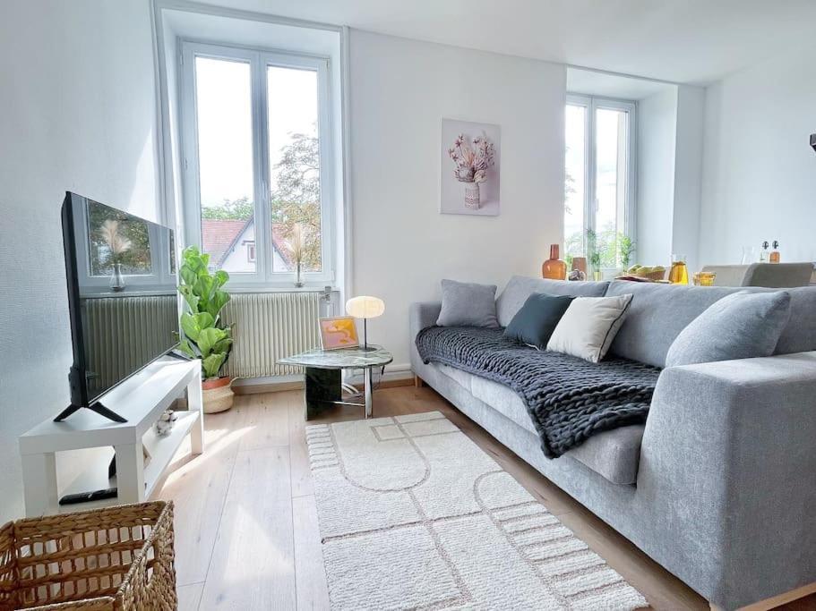 מולהאוס 1 Appartement 3P Ideal Famille Travail Renove Lumineux Parking Gratuit מראה חיצוני תמונה