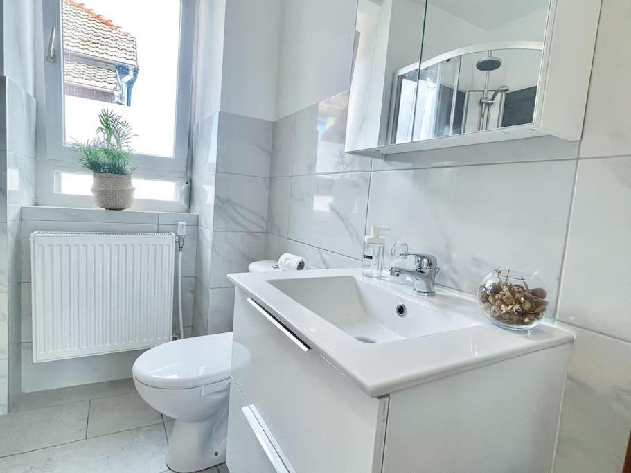 מולהאוס 1 Appartement 3P Ideal Famille Travail Renove Lumineux Parking Gratuit מראה חיצוני תמונה