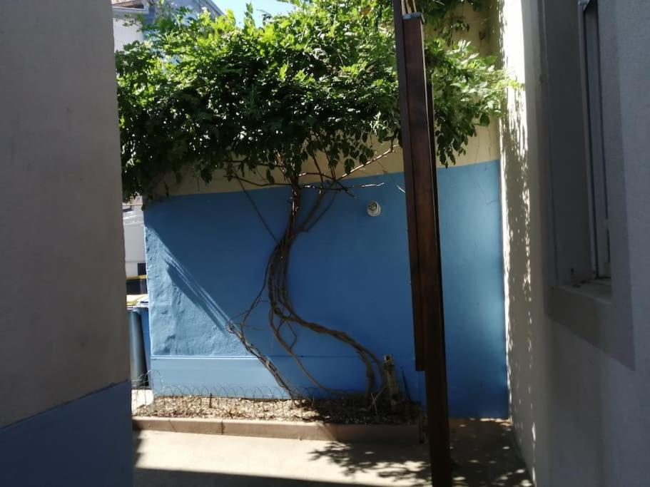 מולהאוס 1 Appartement 3P Ideal Famille Travail Renove Lumineux Parking Gratuit מראה חיצוני תמונה